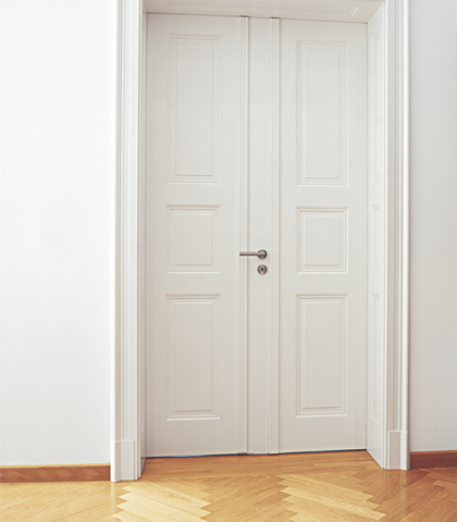 Conservation style doors
